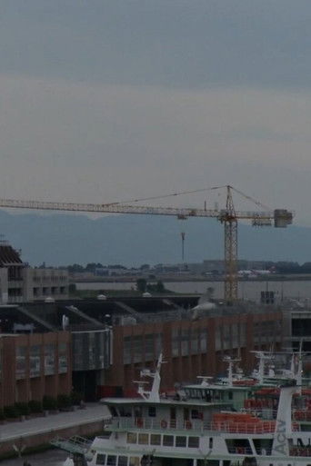 LA LINEA GENERALE (2010) movie poster