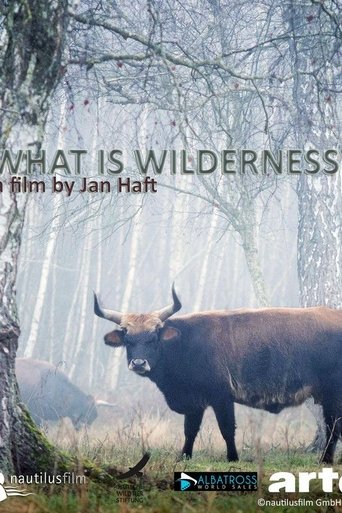 What is Wilderness