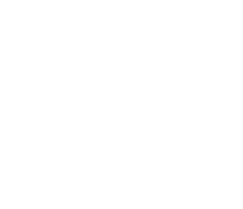 Future Is a Lonely Place logo