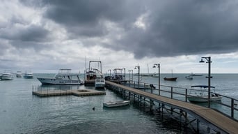 Galeria 2 - Serenity