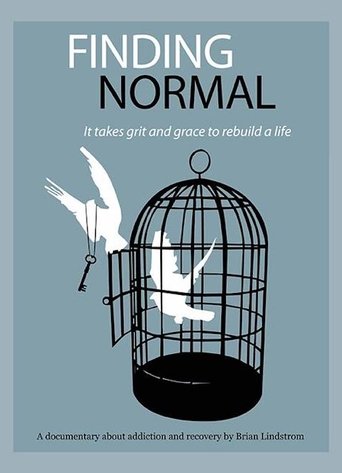 Finding Normal (2007)