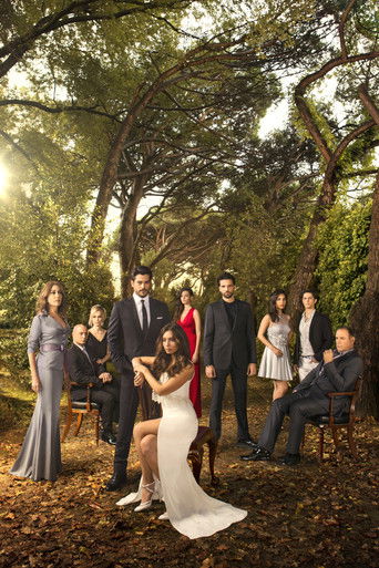 Endless Love poster 8