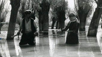 The Well (1968)