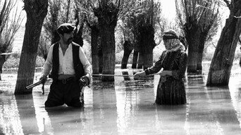 The Well (1968)