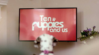 10 Puppies and Us (2017)