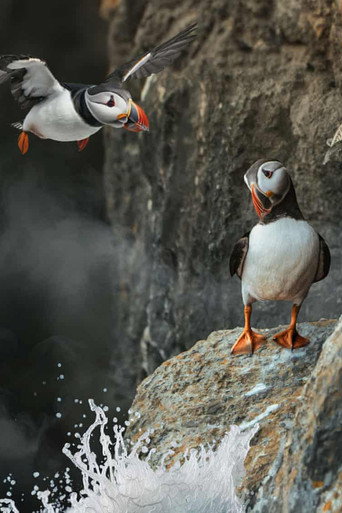 Affiche du film INSIDE BRITAIN'S NATIONAL PARKS
