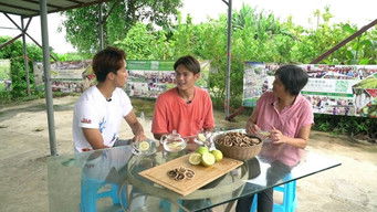 Episode 4 — Episode 4