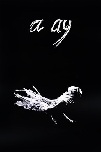 A Ay (1988)
