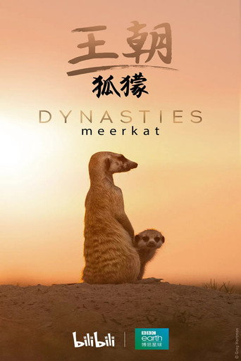 Dynasties: Meerkat Special poster