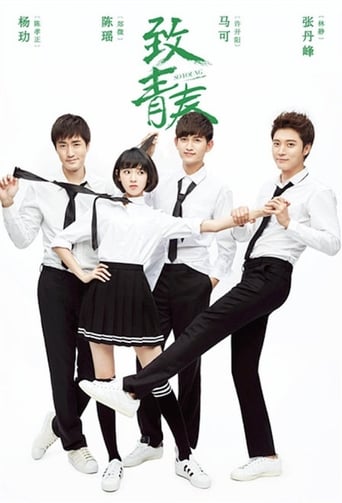 Poster of 致青春