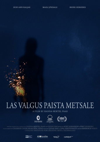 Let The Light Rise Upon The Forest poster