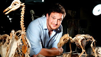 Secrets of Bones (2014)