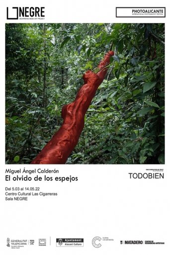 El olvido de los espejos poster