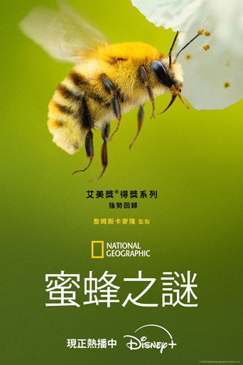 Poster 2