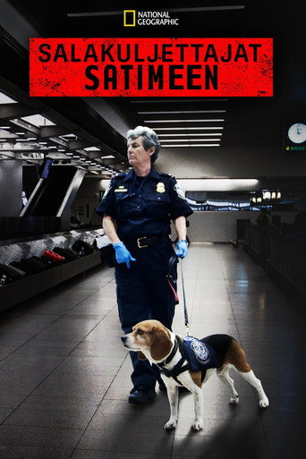 Salakuljettajat satimeen