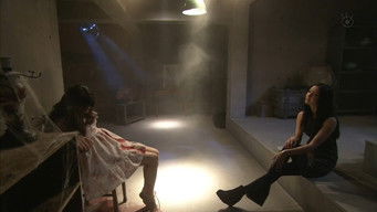 Episode 8 — Episode 8