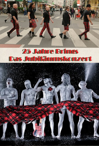 25 Jahre Brings - Das Jubil&auml;umskonzert (2016)