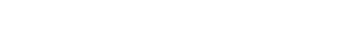 Branson logo