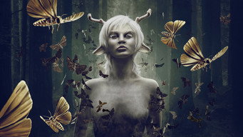 #8 Чарівники 
