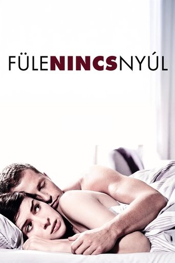 Fülenincs nyúl