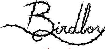 Birdboy logo