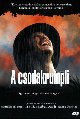 Csodakrumpli