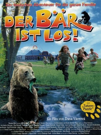 Poster of Bear on the Run