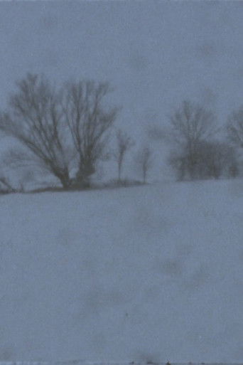 Landscape as Landscape - 21 (2026)