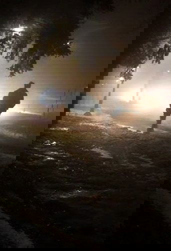 Wake up at 4 in the morning (2023)