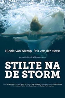Stilte na de storm (2011)