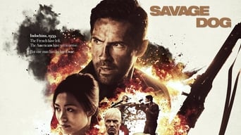 Galeria 3 - Perro salvaje