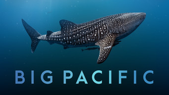 #8 Big Pacific