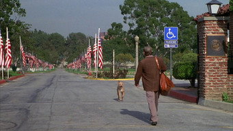 Still 4 from Three Wishes