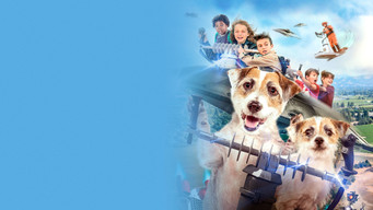 A Doggone Adventure (2018)