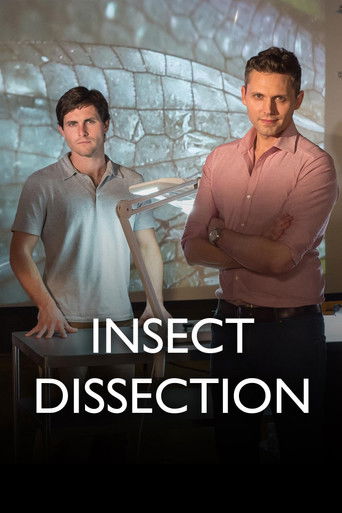 Insect Dissection poster