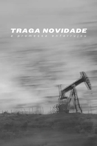 Traga Novidade galeri 2