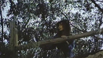 The Black Room (1982)