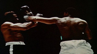 #5 a.k.a. Cassius Clay