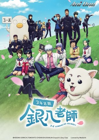 3年Z班银八老师