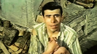 İbişo media image