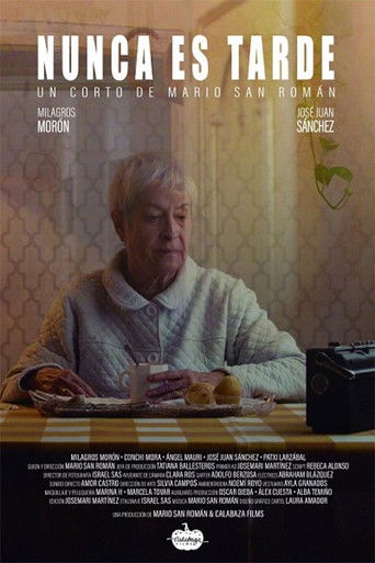Nunca es tarde poster