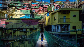 DitO (2024)