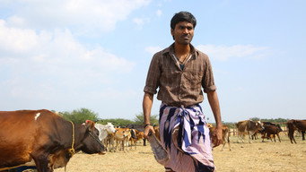 #24 Karnan