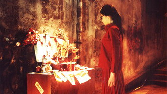 Видимий секрет 2 (2002)