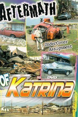 Aftermath of Katrina poster