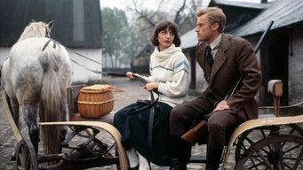 Панянки з Вілько (1979)