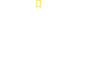 Inside North Korea: Then and Now with Lisa Ling logo