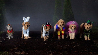 Spooky Buddies backdrop 1