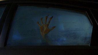 Galeria 4 - Contracted