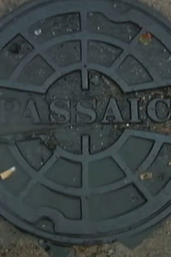 Passaic Mosaic (2008)